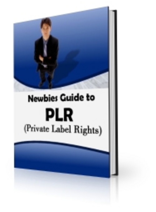 Product picture Newbie PLR Guide